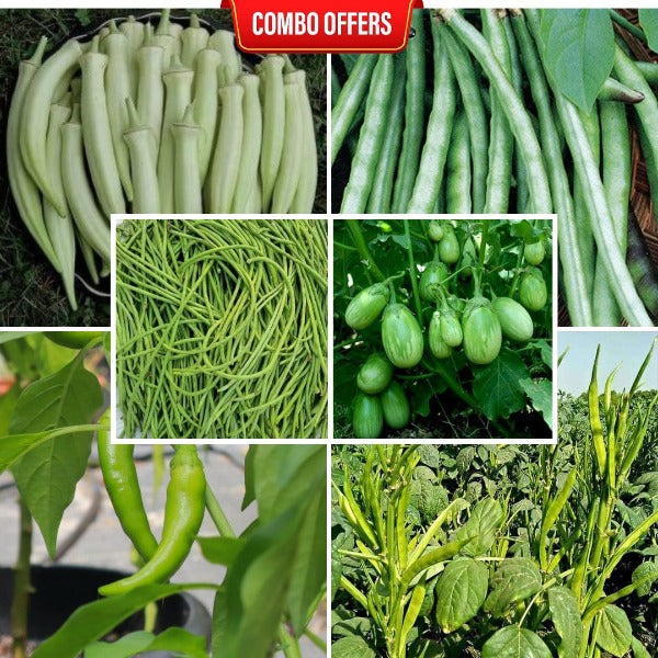 6 in 1 Vegetable Seeds Combo CM4