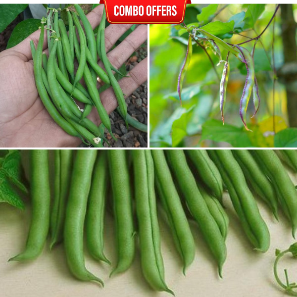 3 in 1 Vegetable Seeds Combo CM7