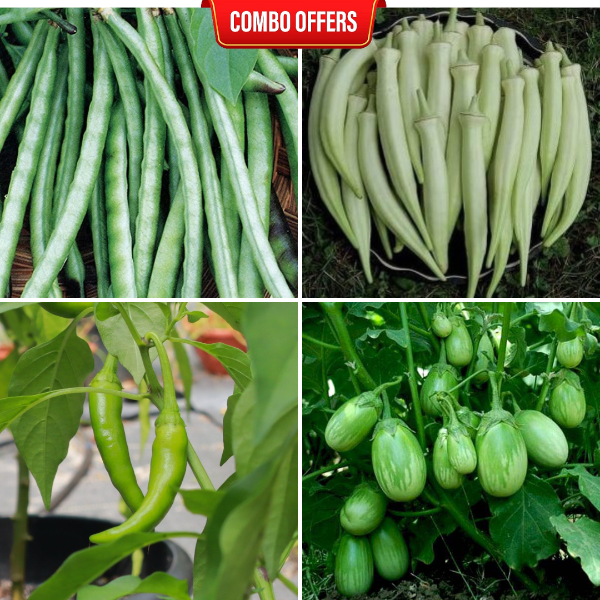 4 in 1 Vegetable Seeds Combo CM9