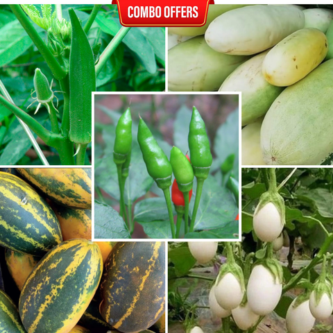 5 in 1 Vegetable Seeds Combo CM11