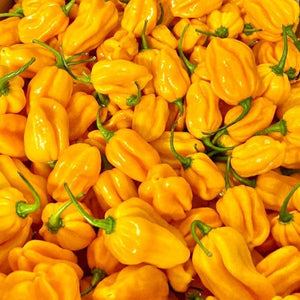 Yellow Hebenero Pepper Chilly Seeds | Mulaku Seeds