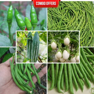 6 in 1 Vegetable Seeds Combo CM15