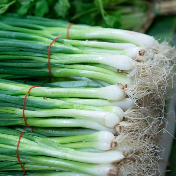 Spring Onion Seeds | Ulli Thandu Seeds