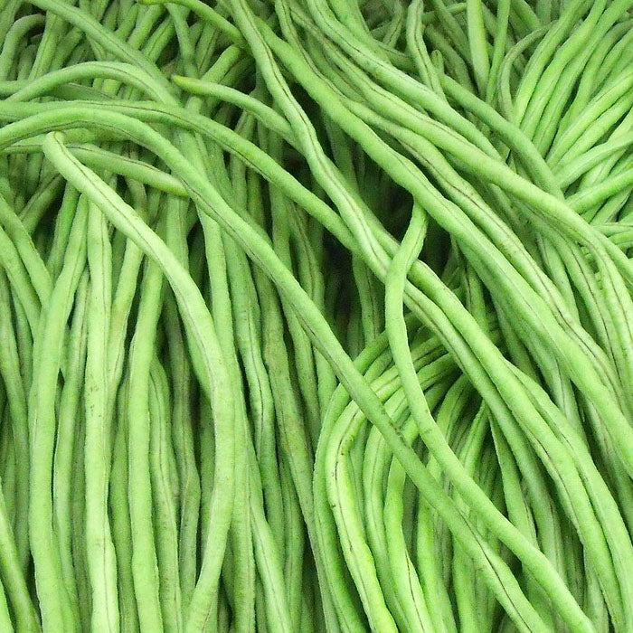 Valli Payar | Green Long Payar (Lola) Seeds - Mini's Lifestyle Store- Buy Seeds in India