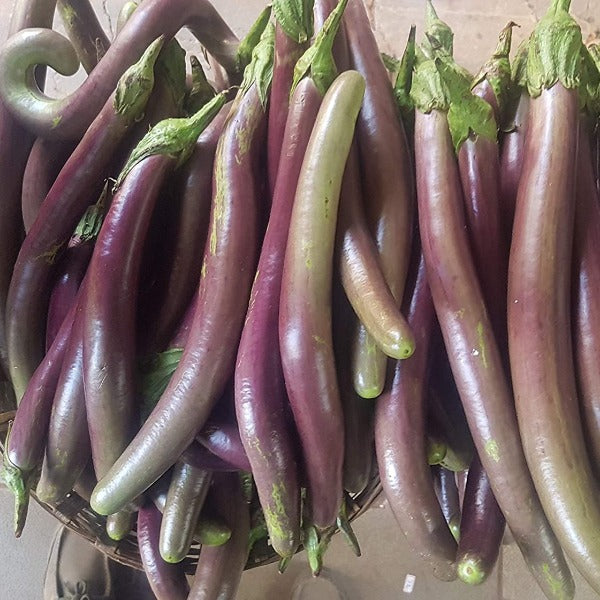 Vengeri Vazhuthana Brinjal Seed | Egg Plant - Mini's Lifestyle Store- Buy Seeds in India