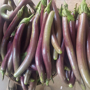 Vengeri Vazhuthana Brinjal Seed | Egg Plant - Mini's Lifestyle Store- Buy Seeds in India